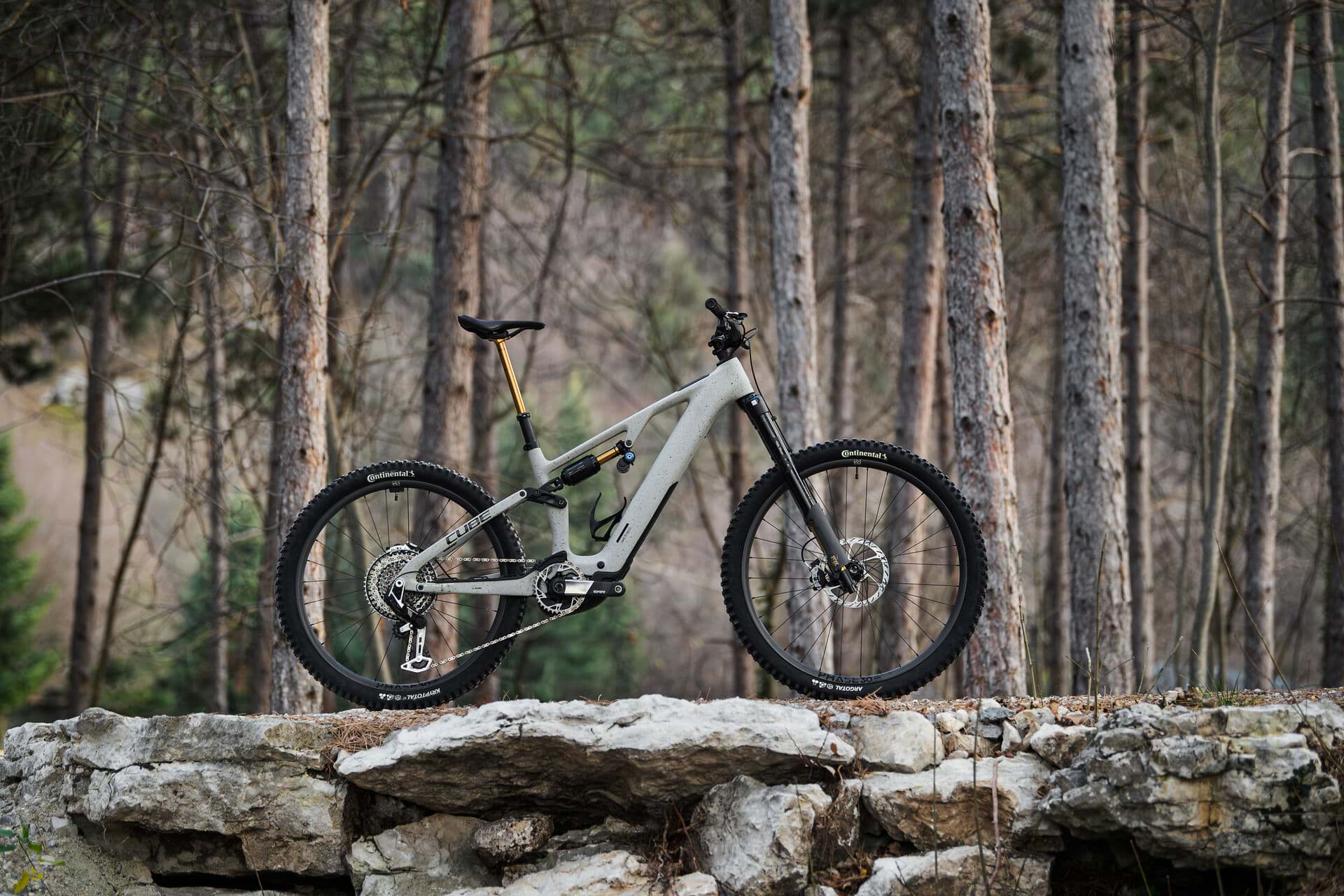 E-Mountainbike auf einer Steinmauer im lichten Kiefernwald