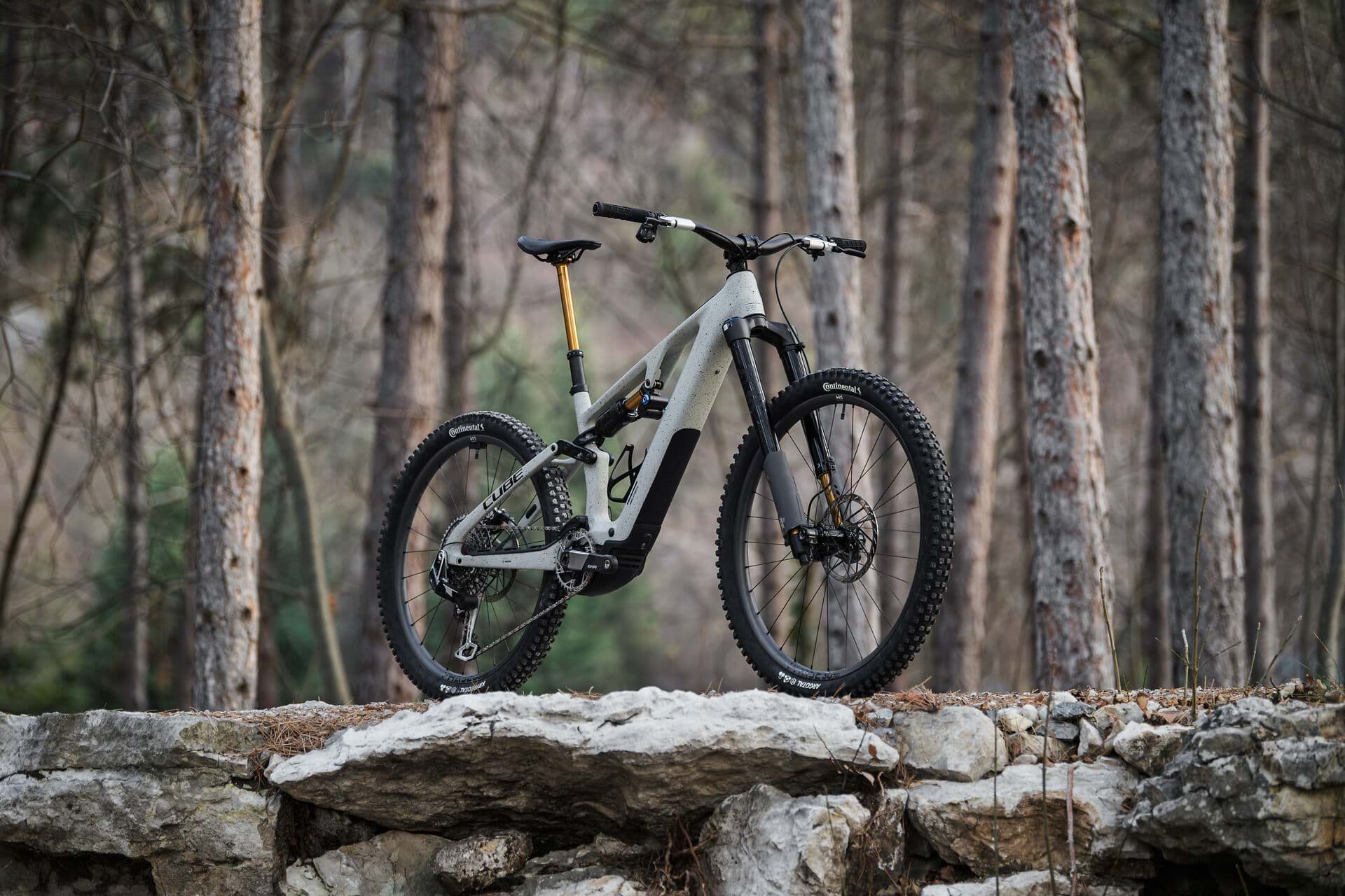 Zweites E-Mountainbike auf derselben Steinmauer im Kiefernwald