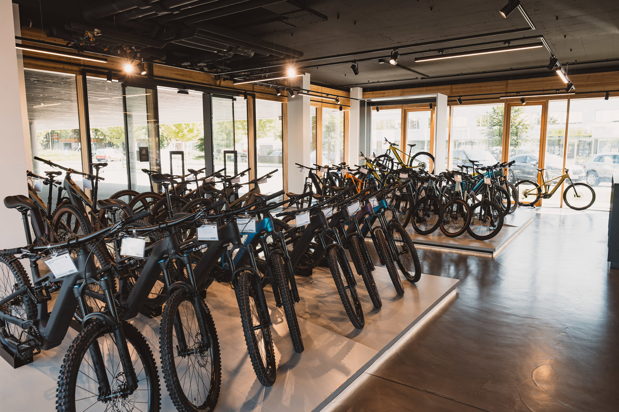 Reihe von E-Mountainbikes auf einem Podest im Verkaufsraum an der Fensterfront